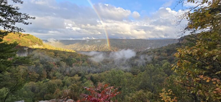 Savage Gulf State Park, photo: Jodie Nunley