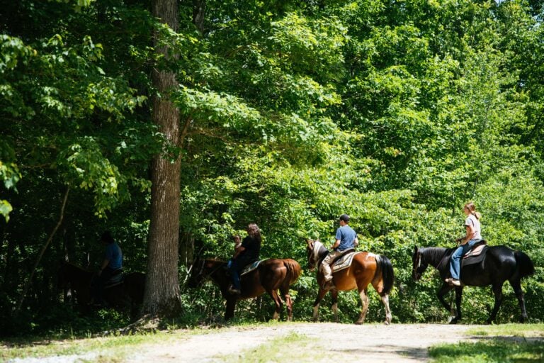 Fall Creek Falls Riding Stables