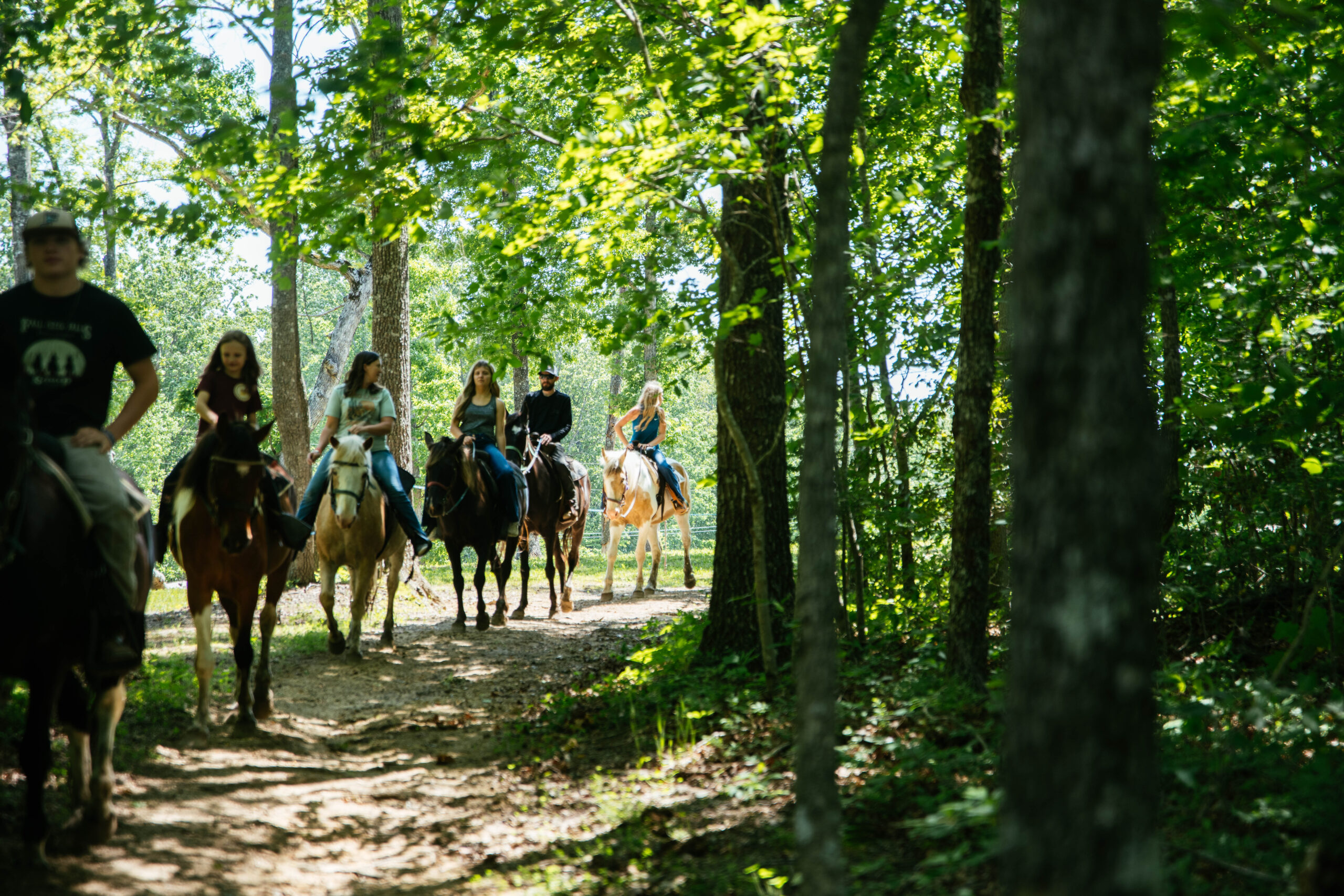 Fall Creek Falls Riding Stables