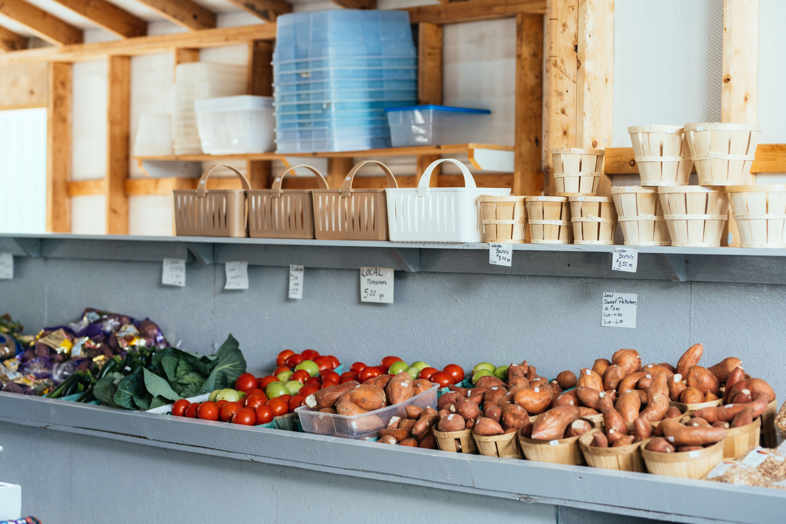 Mennonite Community