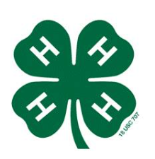 4-H horseshow